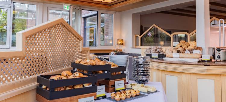 艾丽森霍夫酒店(Hotel Elisenhof Mönchengladbach)图片