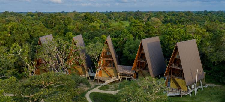 威尔帕图野生动物园度假村(Wilpattu Safari Resort)图片