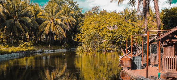 三亚亚龙湾红树林度假酒店图片