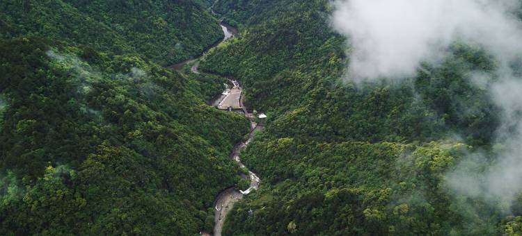 清林山舍民宿(黄山风景区店)图片