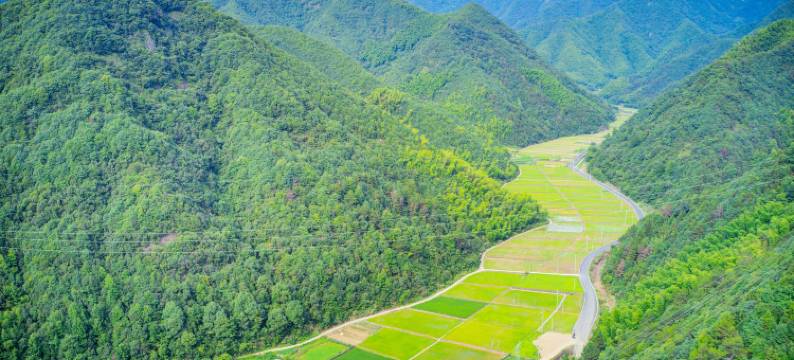 子悦民宿(桐庐肖岭水库体验店)图片