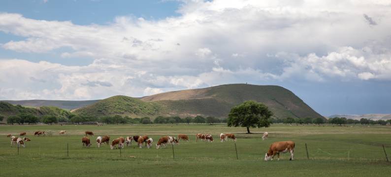 大乐之野(乌兰毛都草原宿集店)图片