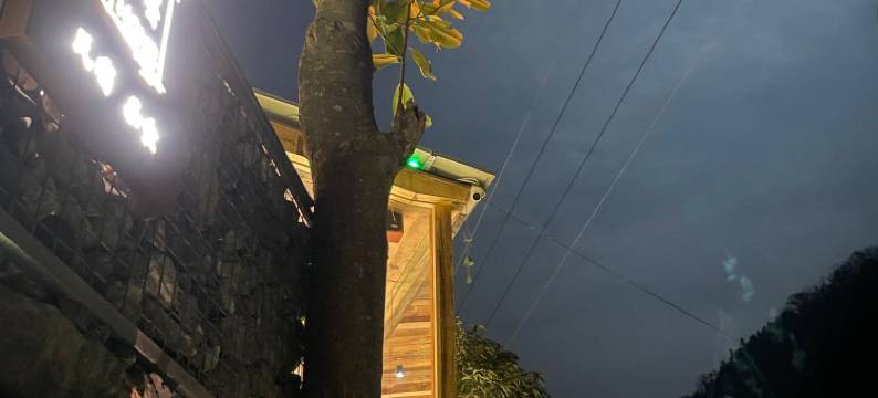 稻田舍民宿图片