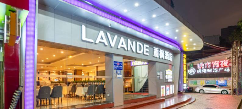 麗枫酒店(广州芳村花地湾地铁站店)图片