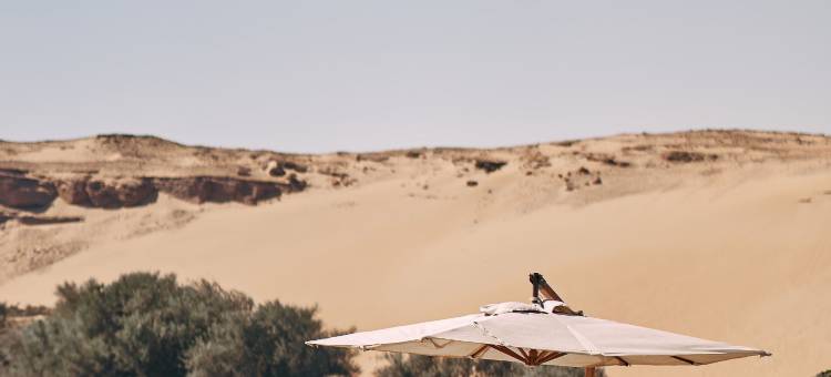 阿斯旺瑞享酒店(Movenpick Resort Aswan)图片