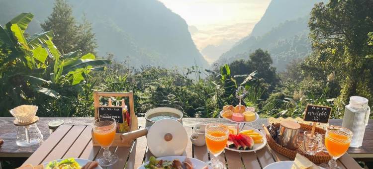 塌吗茶(Tham ma chard)图片