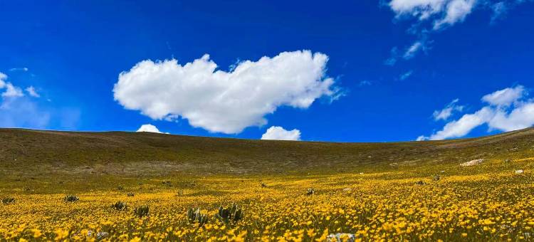喜洲酒店(库车火车站东湖店)图片