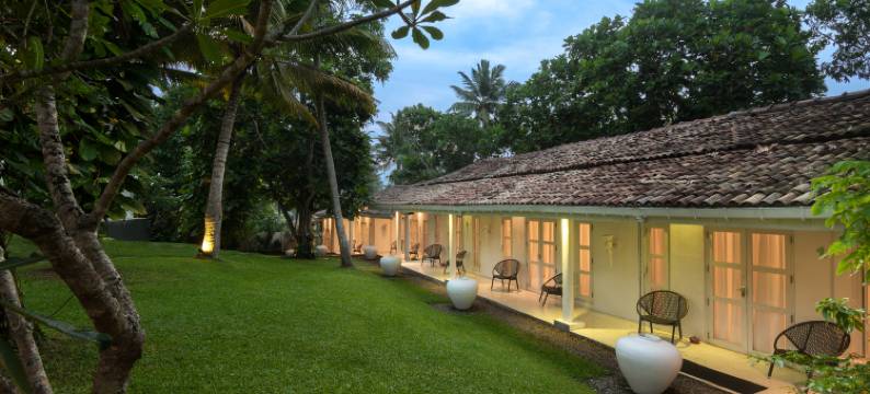 蔚十五逸境(W15 Escape)图片