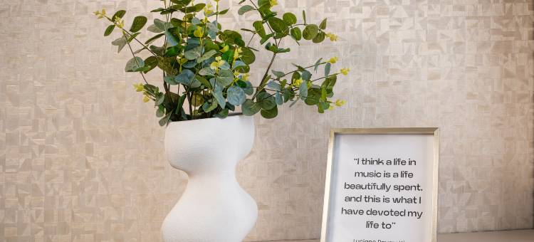 阿德雷兹大师酒店(Hotel Maestro by Adrez)图片