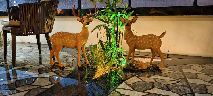 森宸江景酒店图片