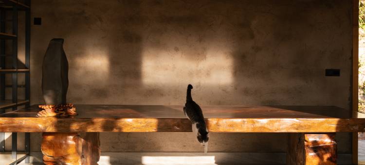 拜然汖栖民宿图片