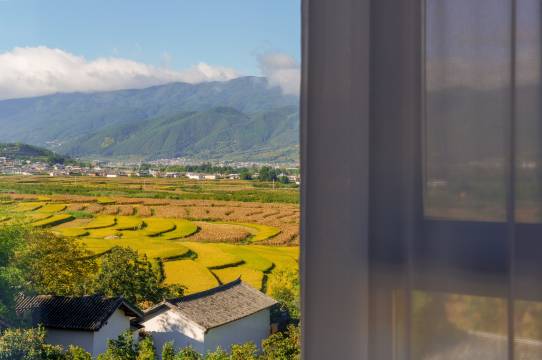 沙溪·溪禾院子图片