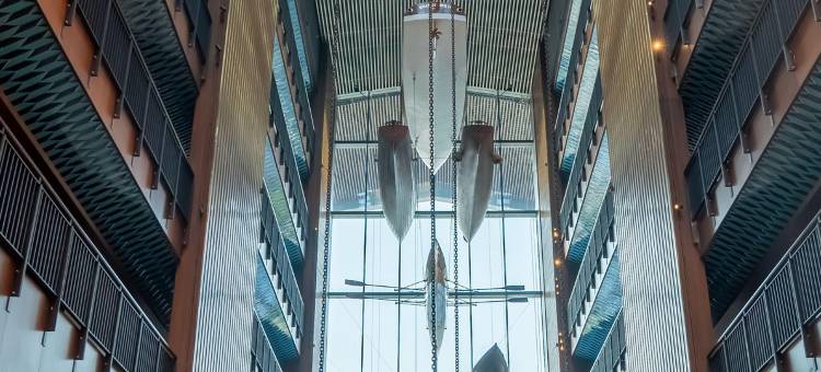 伊斯坦布尔里克萨斯德沙那酒店(Rixos Tersane Istanbul)图片