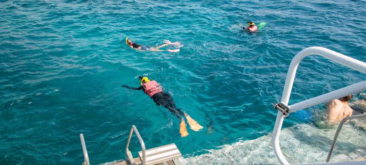 凯恩斯中央青年旅舍(YHA Cairns Central)图片