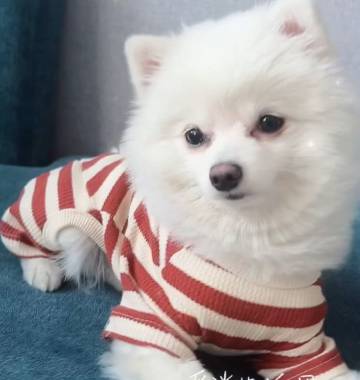 盛景怡家酒店(襄阳万达广场店)图片