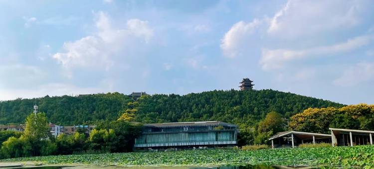 徐州璟尚居民宿(汉文化景区世茂广场钻石国际店)图片