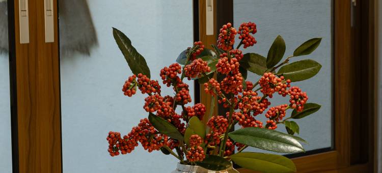 天台玥庭兰舍民宿(国清寺景区店)图片