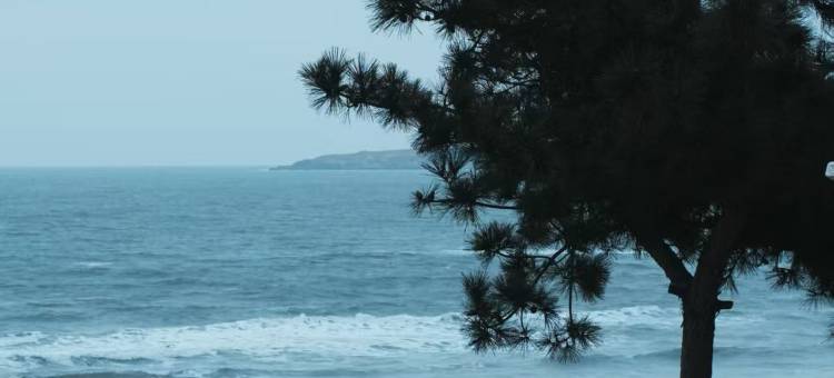 MANNA·漫哪民宿(威海海水浴场火炬八街店)图片