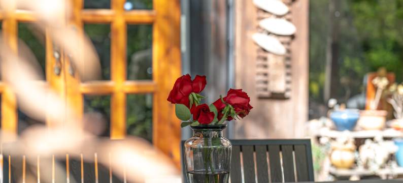 缙云初见仙都民宿图片