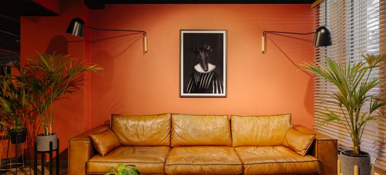 阿姆斯特丹莱兹广场莱昂纳多酒店(Leonardo Hotel Amsterdam Leidse Square)图片