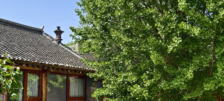 两棵银杏树·老宅庭院民宿(天津蓟州西井峪店)图片