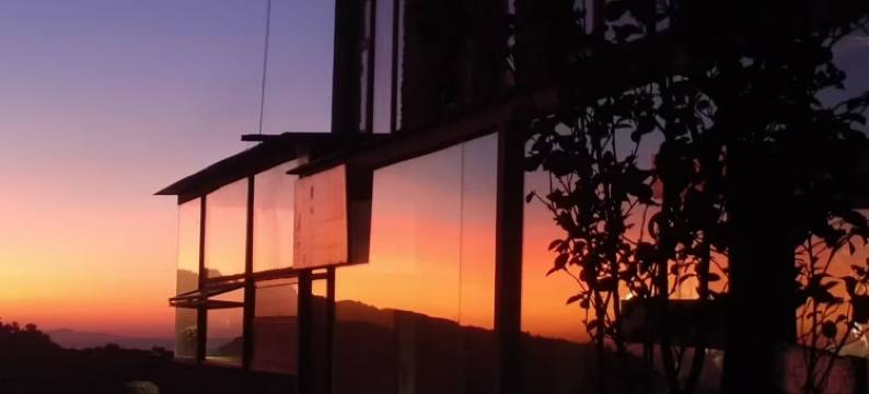 云上舍下森林民宿(金山森林公园店)图片