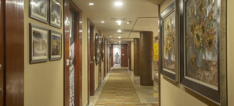 灶神星国际酒店(Vesta International)图片