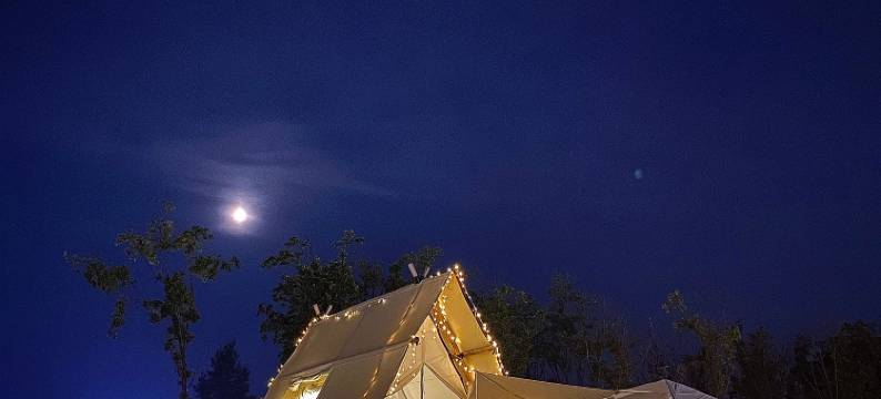 海龙湖BBQ碳烤营地图片