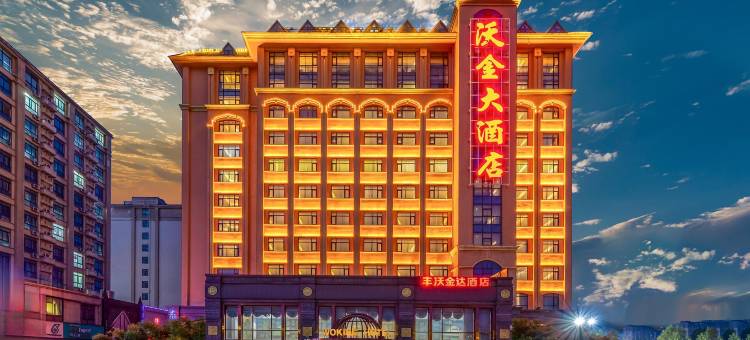 沃金大酒店(郑州新郑国际机场店)图片
