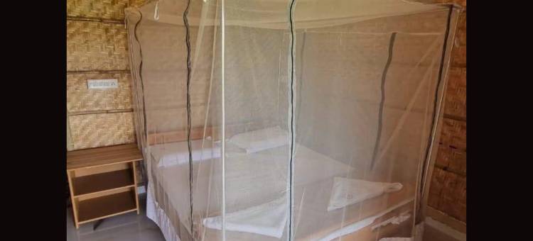 岩石上的国王(The King On The Rocks)图片