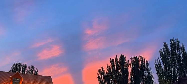 伊宁华隆宾馆(伊宁机场六星街店)图片