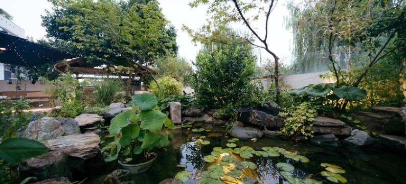 向晚小墅·艺术生活villa小院(陶溪川创意广场店)图片