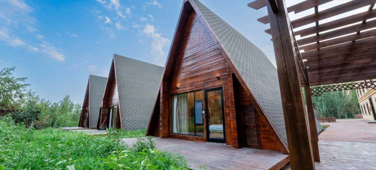 焰火小镇|Firevale·待花谷泳池度假庄园(葡萄沟风景区店)图片