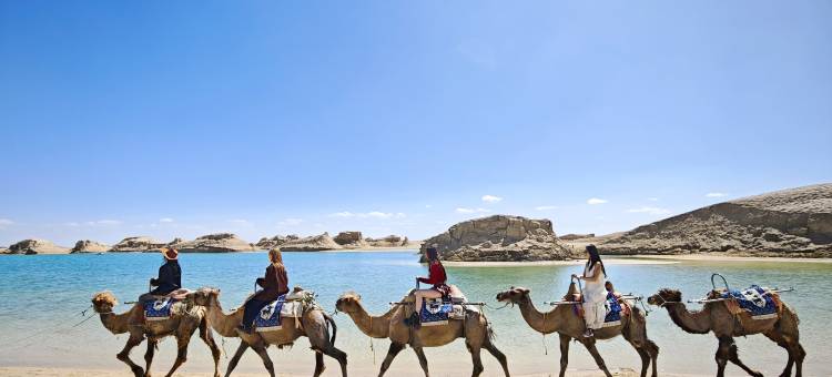 乌素特雅丹大酒店(水上雅丹景区店)图片