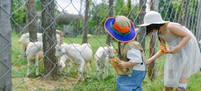 安吉尧珈·山禾稻度假酒店图片
