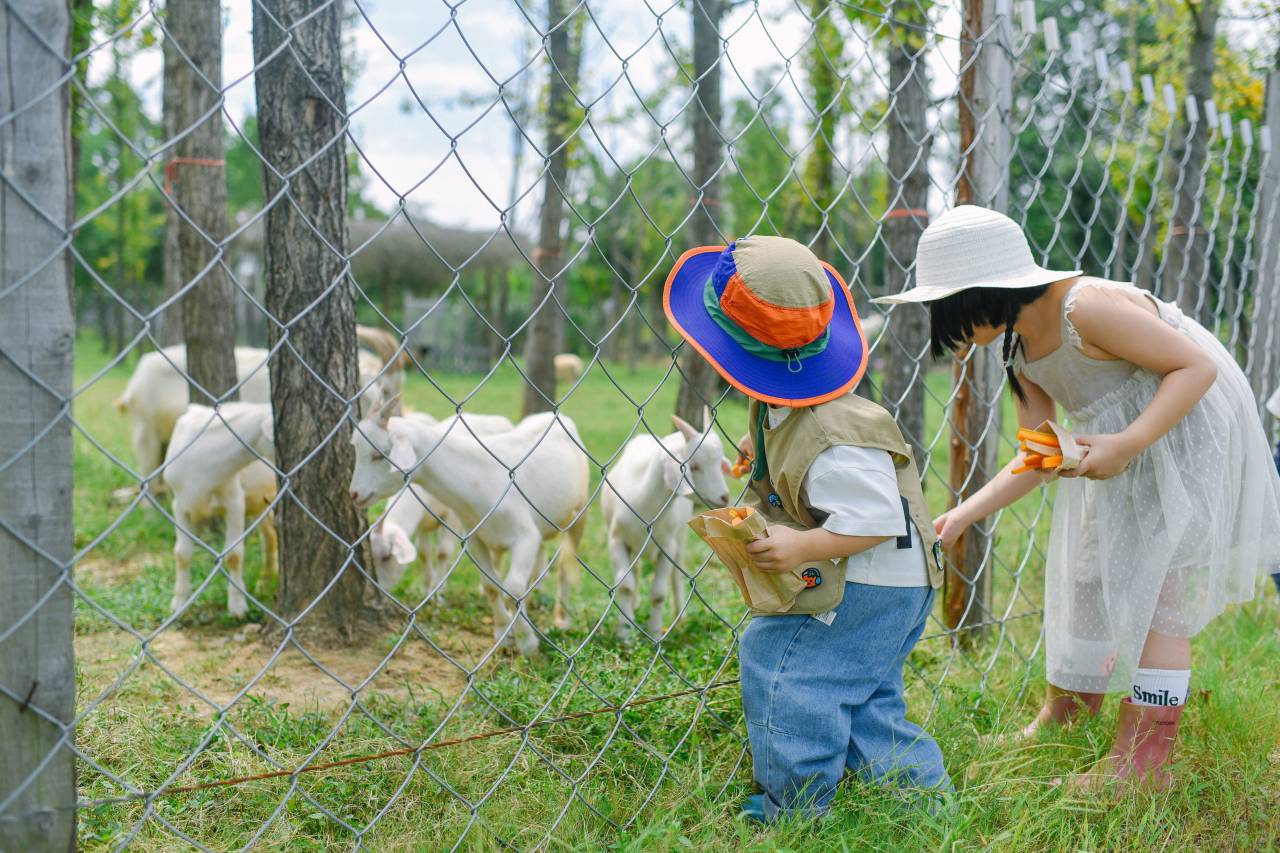 安吉尧珈·山禾稻度假酒店图片