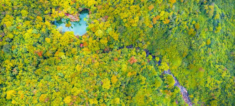 山水居森林瀑布营地(百花岭店)图片