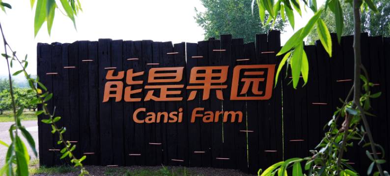 能是果园·露营营地图片