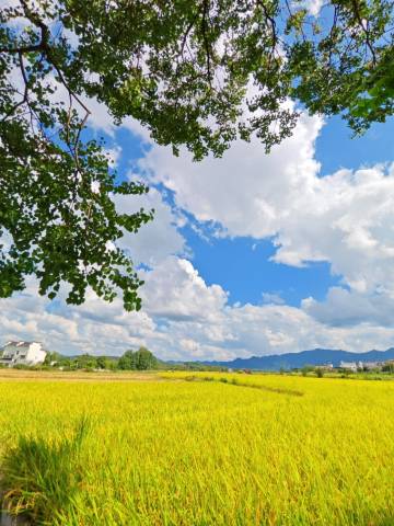 黄山无名初隐世酒店图片