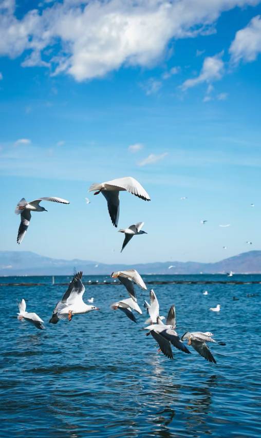 海之舍隐奢海景美墅(大理站洱海公园店)图片