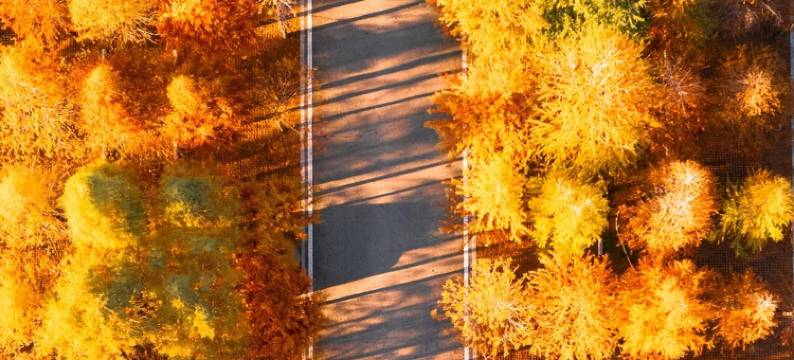 湖景·Lake view春江花月夜酒店(昆明滇池海埂大坝店)图片