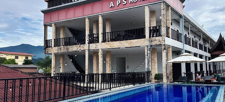 APS 风情度假酒店(A P S Hotel)图片