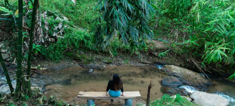 Nuearnaam Lychee House Chiang Mai图片