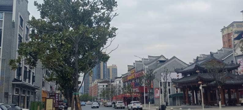 乐巢青年旅舍图片