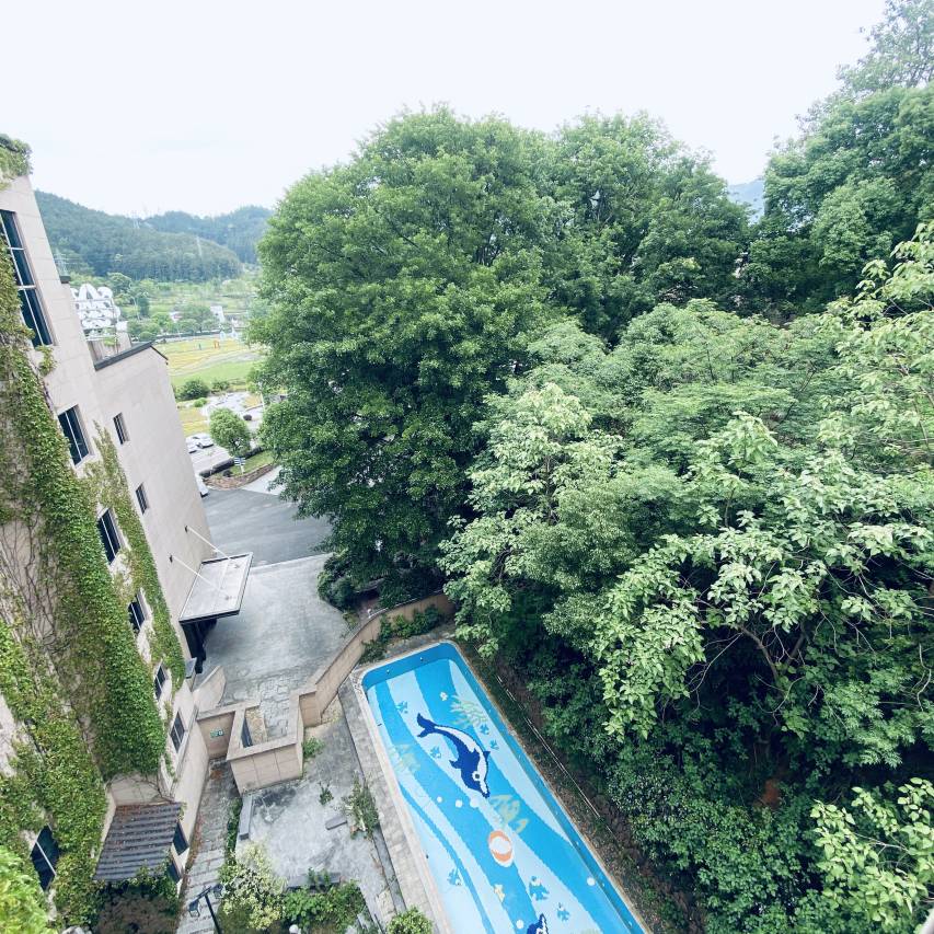 龙泉金沙温泉酒店(青瓷博物馆店)图片