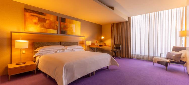 墨西哥城圣达菲巴塞罗酒店(Barceló México Santa Fe)图片