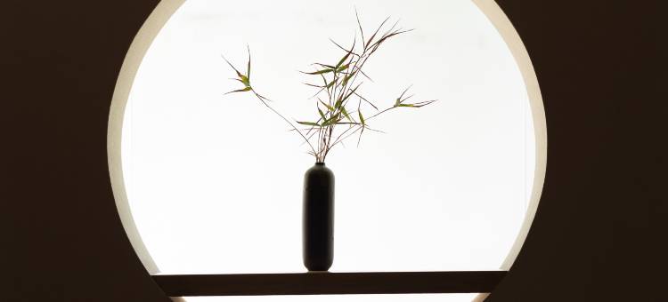 凤凰素履莲花·璞树漫居江景度假民宿图片
