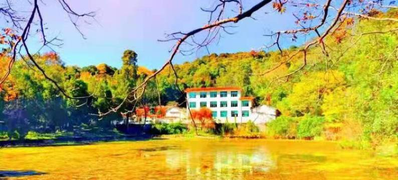 鸡足山宾馆图片