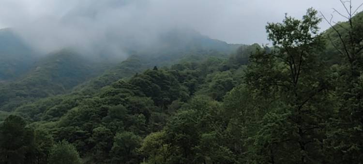 宝鸡市眉县营头镇红河谷研学基地宾馆图片