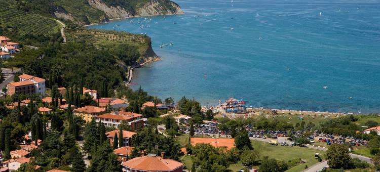 哈莱图酒店 - 圣西蒙度假村(Hotel Haliaetum - San Simon Resort)图片